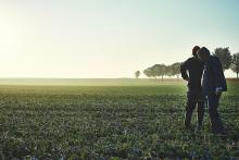 Agriculture de conservation