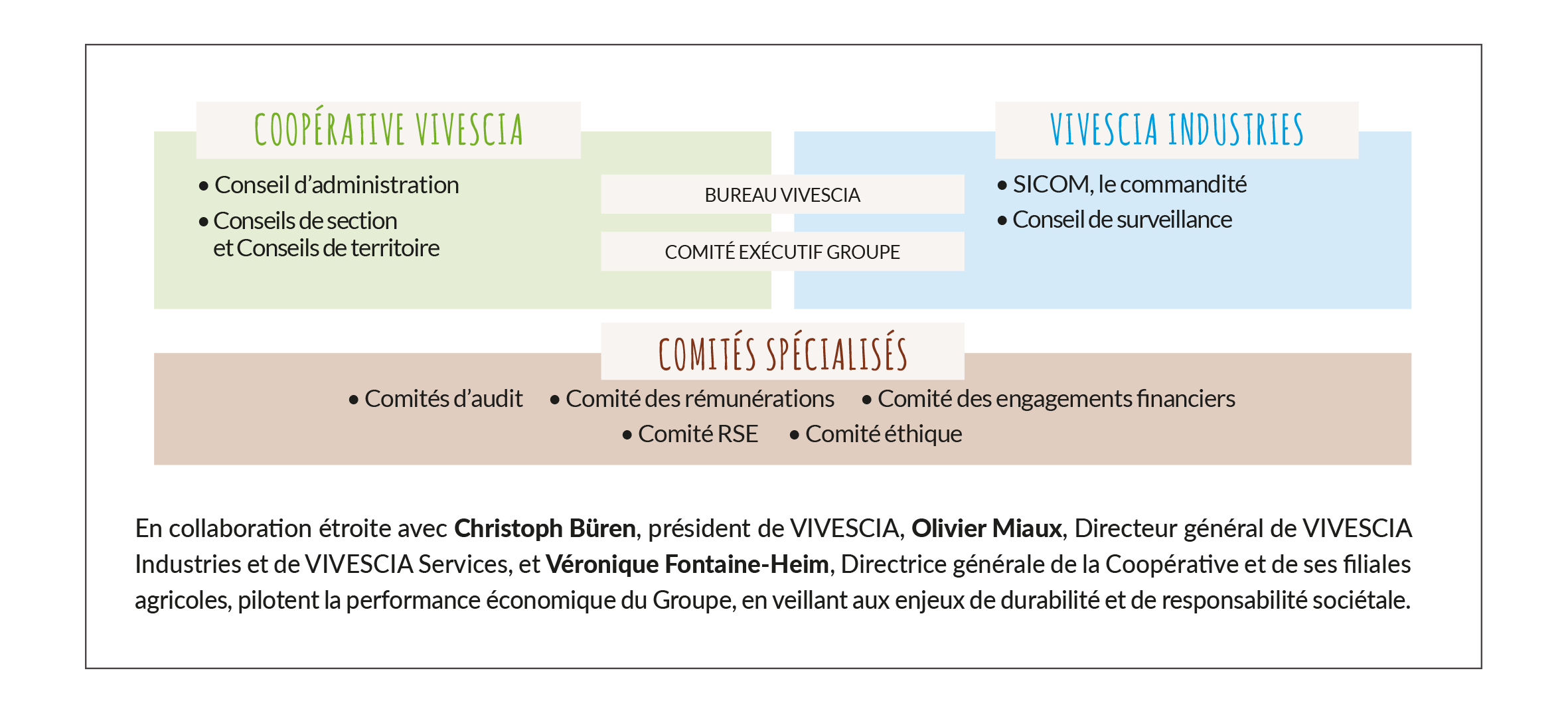 VIVESCIA Structure