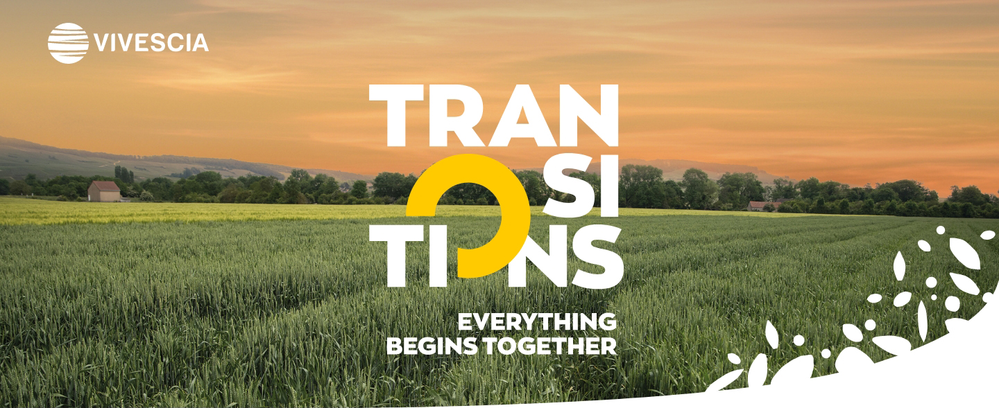 Vivescia - Transitions - Everything begins together Vivescia - Transitions - Everything begins together