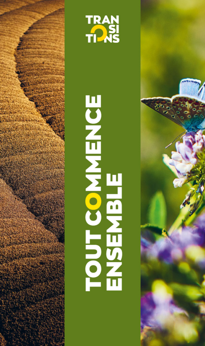 Tout commence ensemble - TRANSITIONS 2024-2025