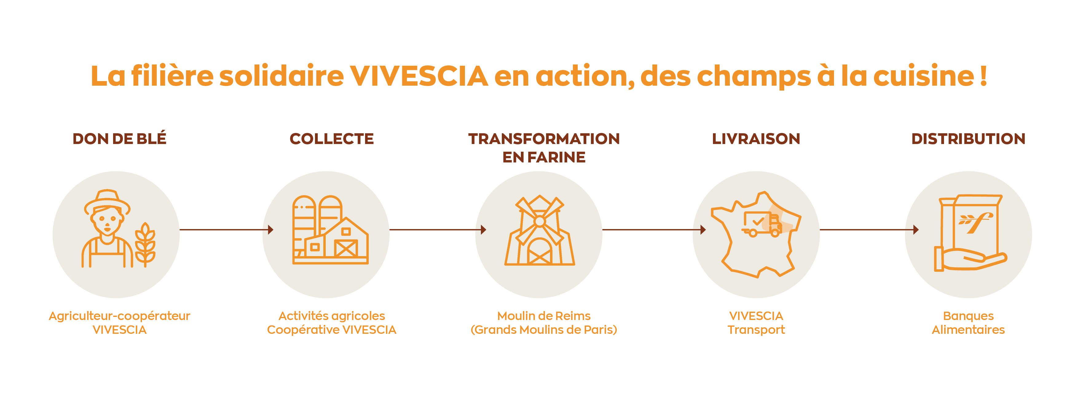 Frise solidaire VIVESCIA en action, des champs à la cuisine ! 