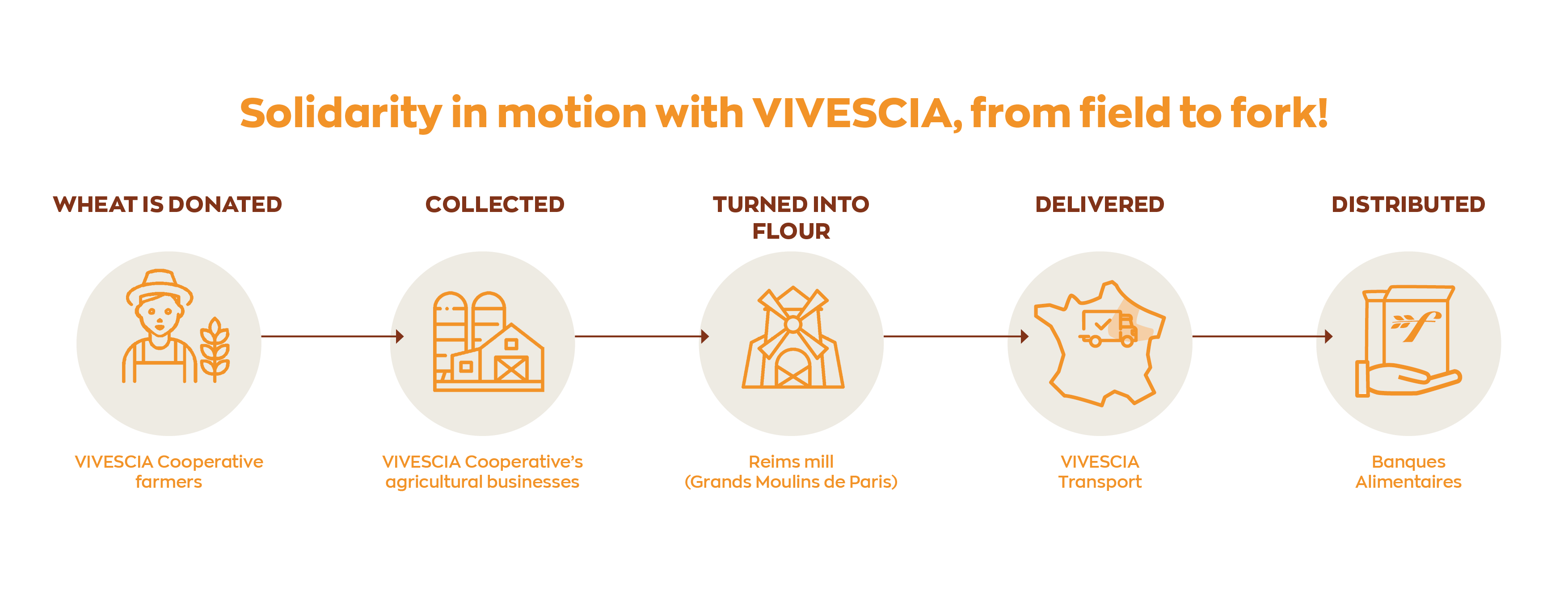 Solidarity in motion with VIVESCIA, from field to fork ! 